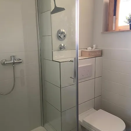 Bodenseepanorama Mit Wunderschönem Alpenpanorama Und Indoor-pool *