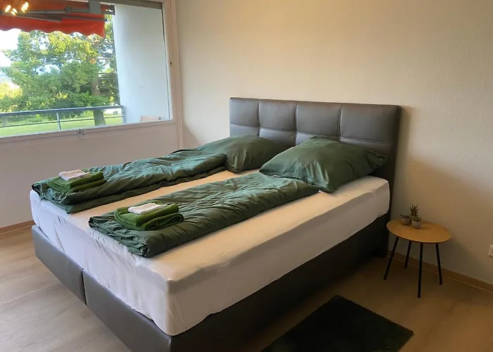 Bodenseepanorama Mit Wunderschoenem Alpenpanorama Und Indoor-pool