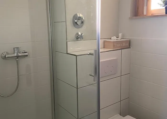 Bodenseepanorama Mit Wunderschoenem Alpenpanorama Und Indoor-pool *